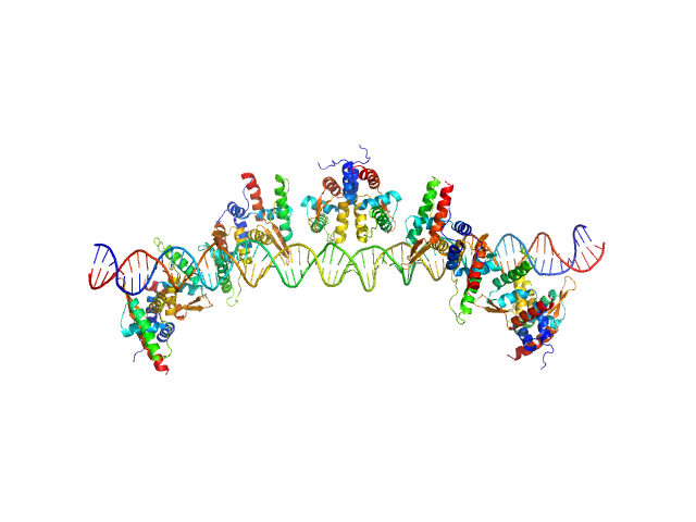S48 DNA strand 1 S48 DNA strand 2 TubR of the pXO1-like plasmid pBc10987 from B. cereus (Bc-TubR) MOLECULAR DYNAMICS FRAME model