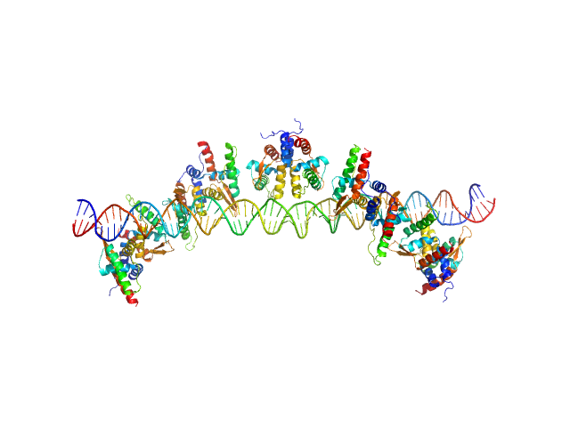 MOLECULAR DYNAMICS FRAME model