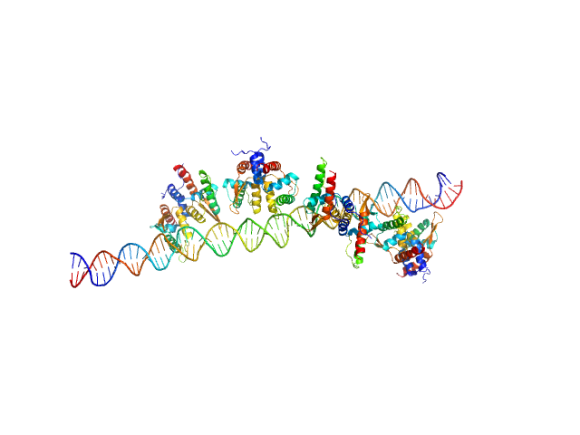 S48 DNA strand 1 S48 DNA strand 2 TubR of the pXO1-like plasmid pBc10987 from B. cereus (Bc-TubR) MOLECULAR DYNAMICS FRAME model