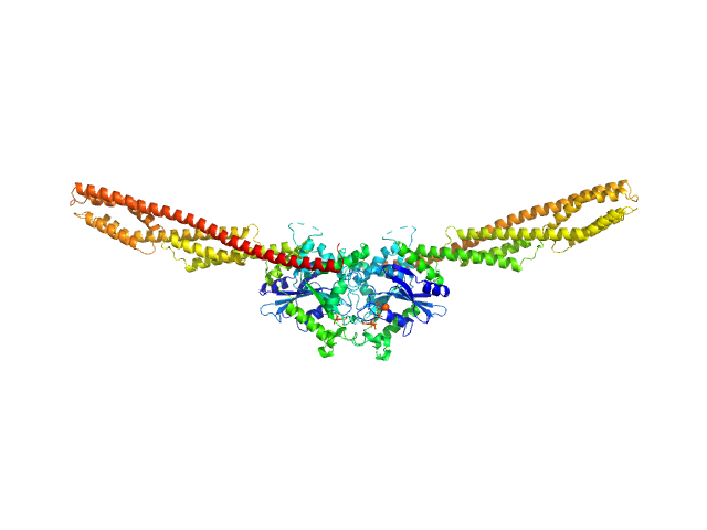 human Guanylate-binding protein 1 PYMOL model