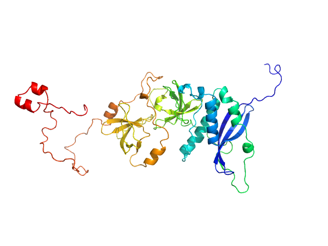 Neutrophil cytosol factor 1 CUSTOM IN-HOUSE model
