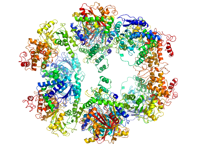 Fatty acid oxidation complex subunit alpha anaerobic Fatty acid oxidation complex subunit alpha anaerobic Fatty acid oxidation complex subunit alpha anaerobic Fatty acid oxidation complex subunit alpha anaerobic 3-ketoacyl-CoA thiolase FadI beta subunit anaerobic 3-ketoacyl-CoA thiolase FadI beta subunit SWISSMODEL model