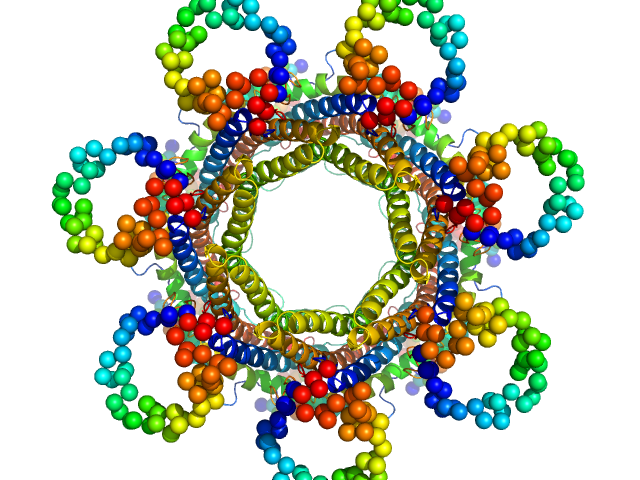 Proteasome activator PA28 CORAL model