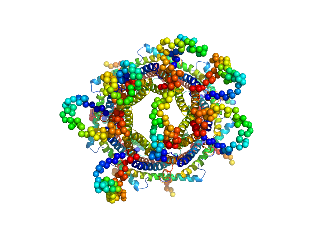 Proteasome activator PA28 CORAL model