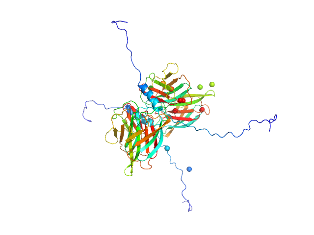 MULTIFOXS model