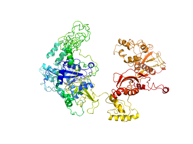 Ribosome assembly protein 1 MULTIFOXS model