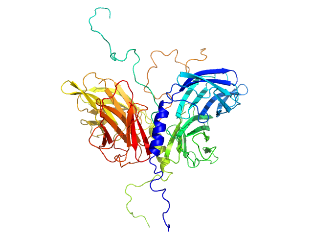 Stator protein FlaG soluble domain Conserved flagellar protein FlaF-I96Y soluble domain BILBOMD model