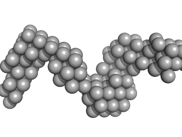 DNA ligase A Probable exodeoxyribonuclease III protein XthA Nicked DNA DAMMIF model