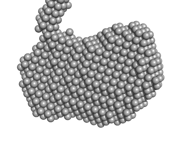 DAMMIF model