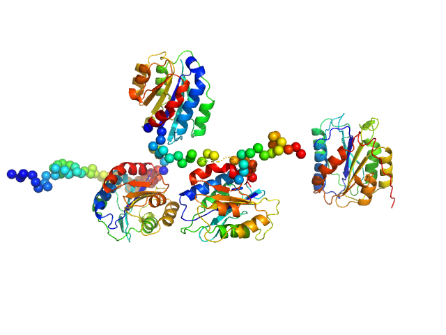 Collagen, type VI, alpha 3 CORAL model