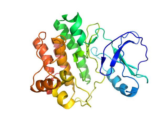 Bruton's tyrosine kinase, kinase domain PDB (PROTEIN DATA BANK) model