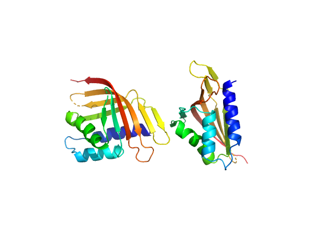 LIM domain-binding protein 1 PDB (PROTEIN DATA BANK) model