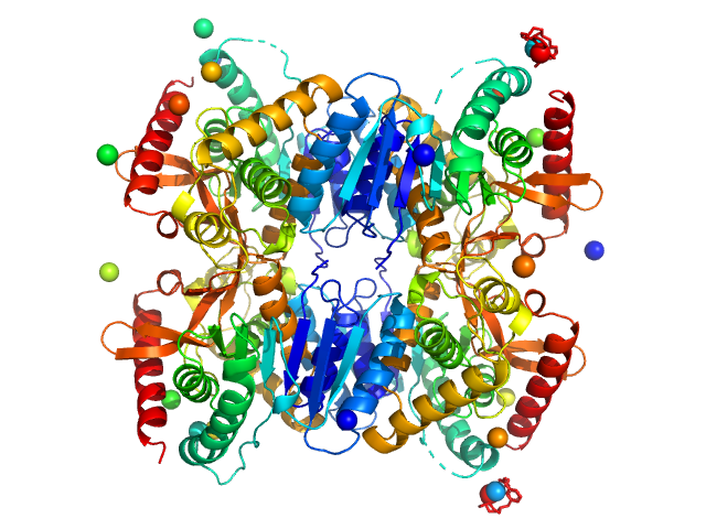 Malate dehydrogenase PDB (PROTEIN DATA BANK) model