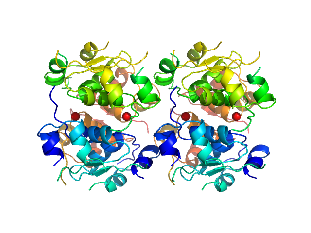 Insulin glulisine PDB (PROTEIN DATA BANK) model