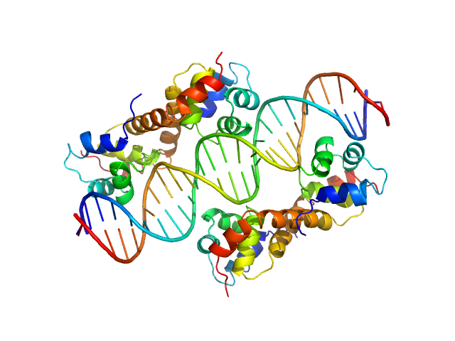 Uncharacterized protein DNA Duplex PDB (PROTEIN DATA BANK) model