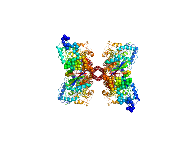 CORAL model