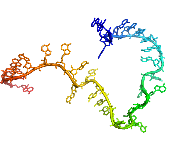 Poly-adenosine CUSTOM IN-HOUSE model