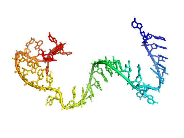 Poly-adenosine CUSTOM IN-HOUSE model