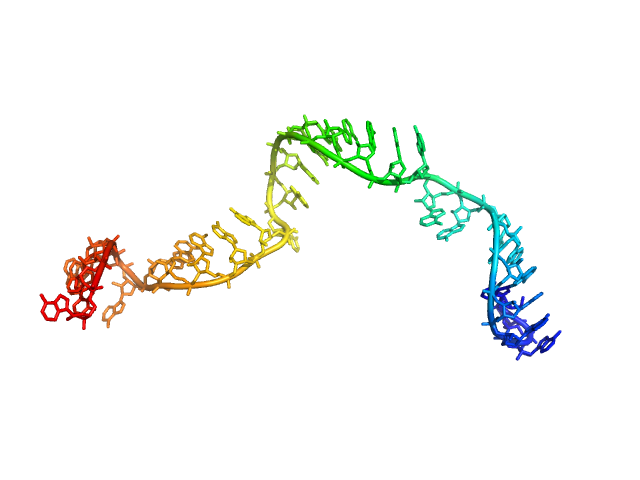 Poly-adenosine CUSTOM IN-HOUSE model