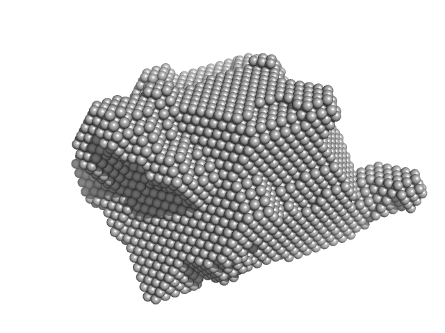 RuvB-like 1 RuvB-like 2 DAMMIF model