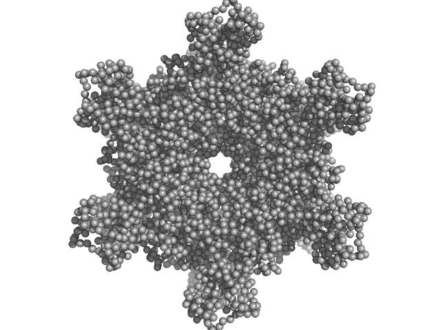 RuvB-like 1 RuvB-like 2 GASBOR model