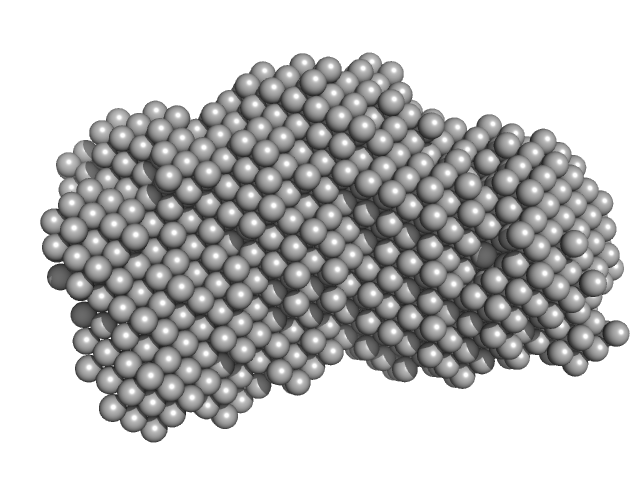 Probable exodeoxyribonuclease III protein XthA DNA ligase A Beta sliding clamp DNA ligase A nicked DNA substrate DAMMIF model