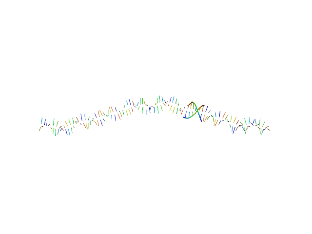 80bp_DNA Forward 80bp_DNA Reverse CHIMERA model