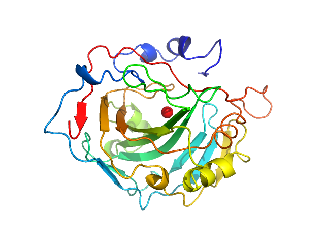 Carbonic anhydrase 2 PDB (PROTEIN DATA BANK) model