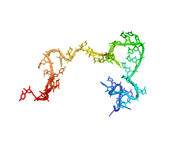 Poly-uridine CUSTOM IN-HOUSE model