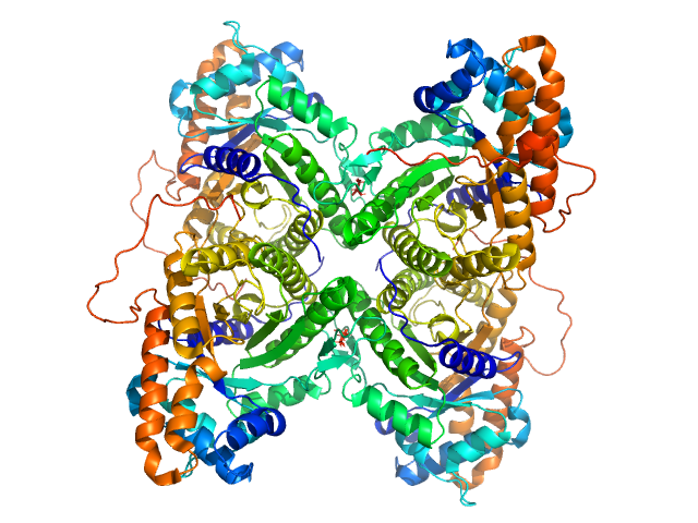 Fructose-bisphosphate aldolase A PDB (PROTEIN DATA BANK) model
