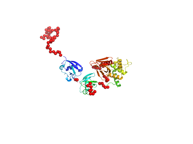 Talin-1 (Δ139-168), human EOM/RANCH model