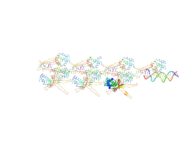 80bp_DNA Forward 80bp_DNA Reverse DNA-binding protein HU-alpha, E34K CHIMERA model