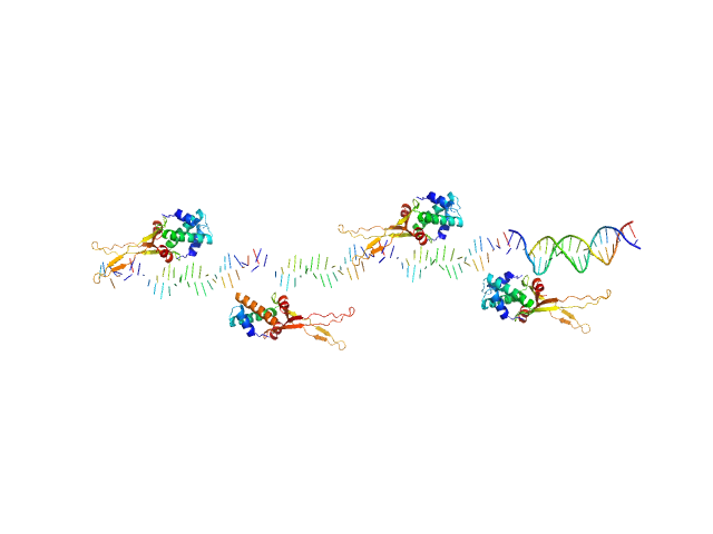 80bp_DNA Forward 80bp_DNA Reverse DNA-binding protein HU-alpha, E34K CHIMERA model