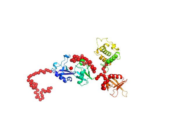 Talin-1, human EOM/RANCH model