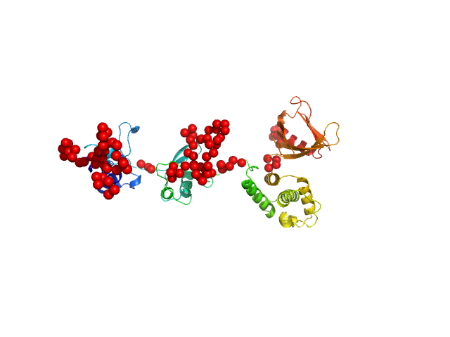 Talin-1, human EOM/RANCH model