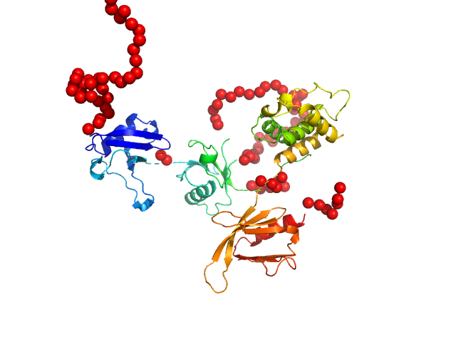 Talin-1, human EOM/RANCH model