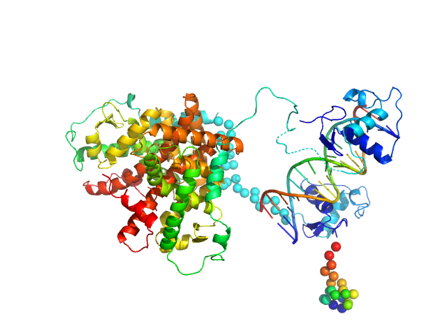 Retinoic acid receptor alpha, RAR Retinoic acid receptor RXR-alpha DNA response element HoxB13 DR0 CORAL model
