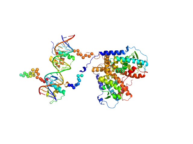 Retinoic acid receptor alpha, RAR Retinoic acid receptor RXR-alpha DNA response element F11r DR5 CORAL model