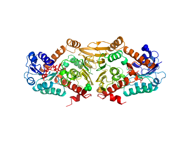 Escherichia coli YjhC PDB (PROTEIN DATA BANK) model