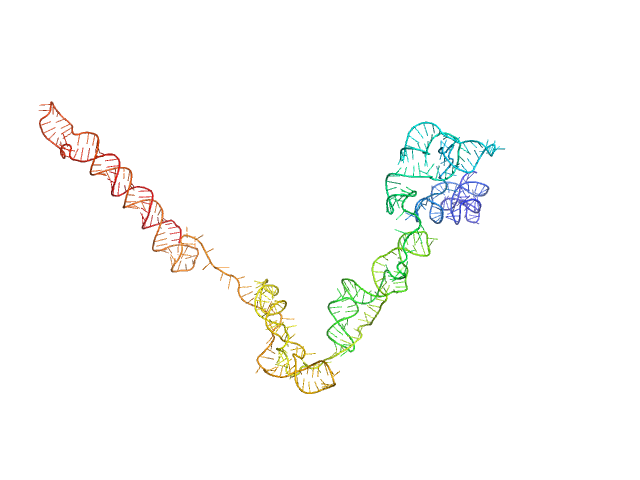 Subgenomic flavivirus RNAs from Dengue virus 2 OTHER model