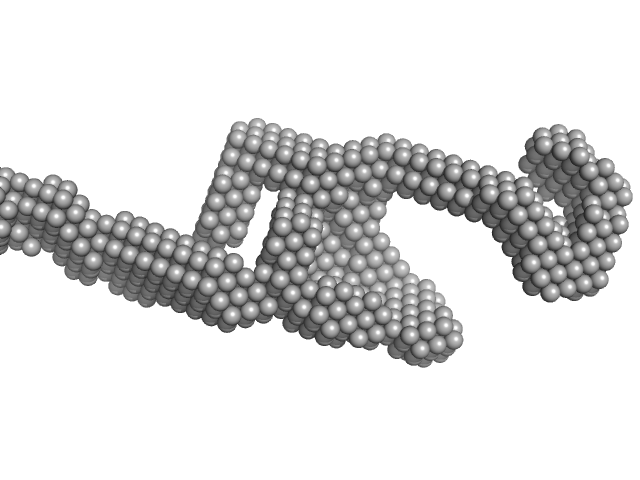 Sperm-associated antigen 1 PIH1 domain-containing protein 2 DAMMIF model