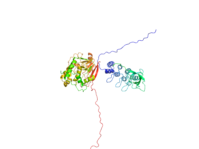 BILBOMD model