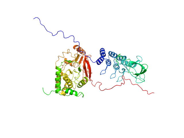 BILBOMD model