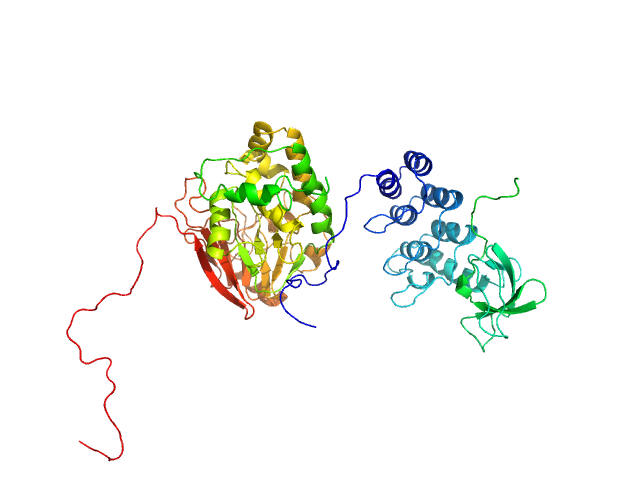 BILBOMD model