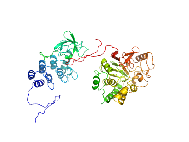 BILBOMD model