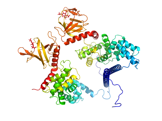 Cytohesin-3 MULTIFOXS model