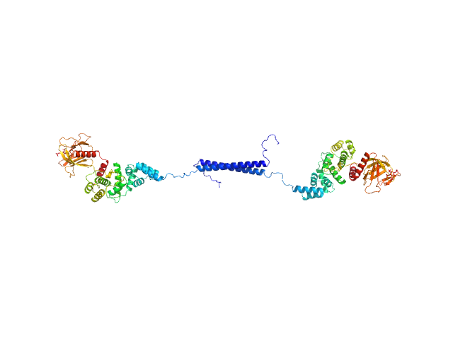Cytohesin-3 MULTIFOXS model
