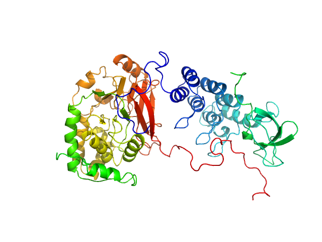 BILBOMD model