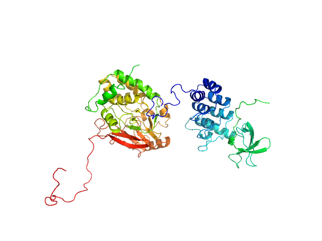 BILBOMD model