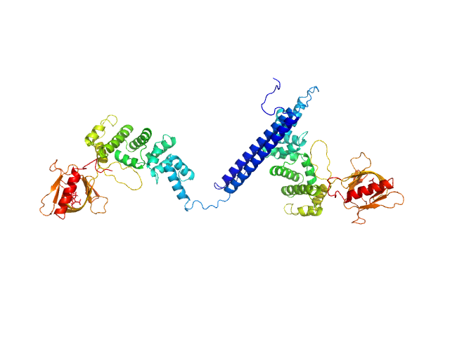 Cytohesin-3 MULTIFOXS model